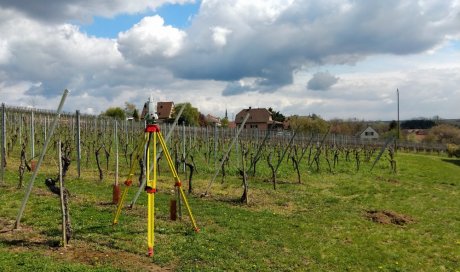 Rétablissement de limites à Hattstatt